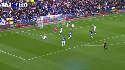 EVERTON 3 0 CRYSTAL PALACE  Premier League highlights