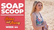 Home and Away Soap Scoop! Heather leaves John suspicious