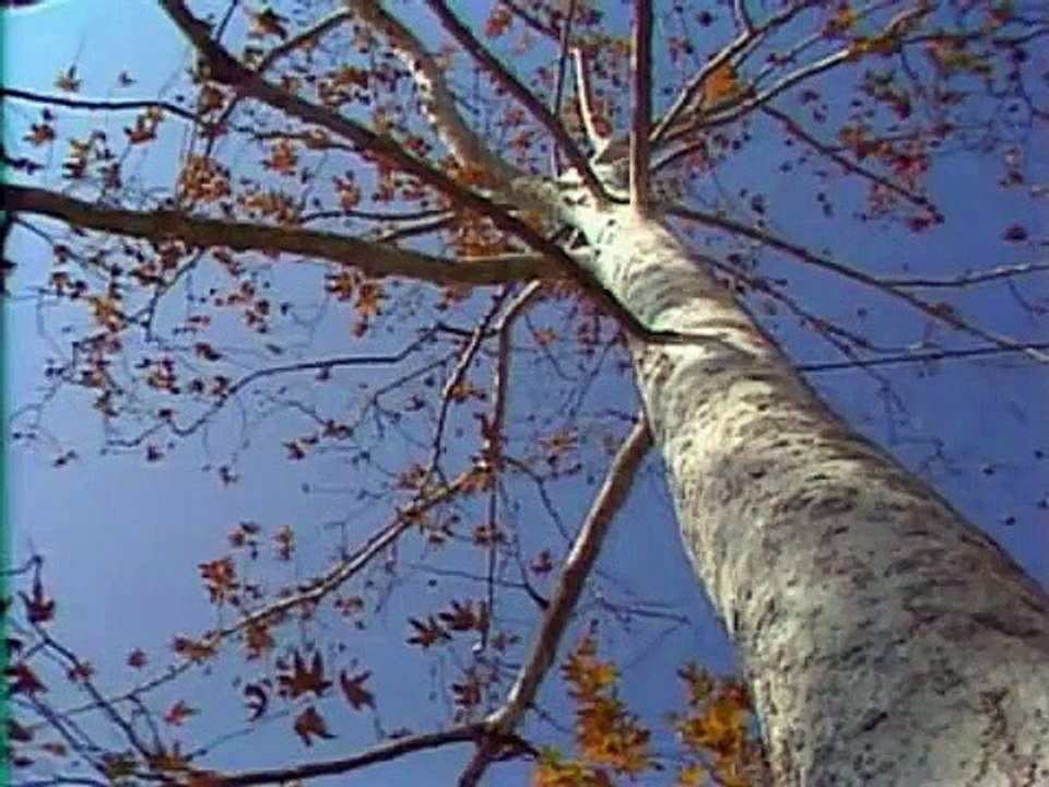 The Mechanical Universe... and Beyond - Se1 - Ep04 HD Watch HD Deutsch