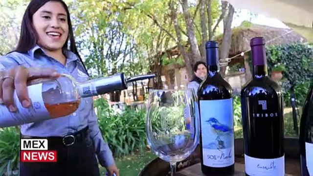 DESDE SALTILLO CONOCEMOS COMO SE CREAN LOS VINOS EN BODEGAS DEL VIENTO