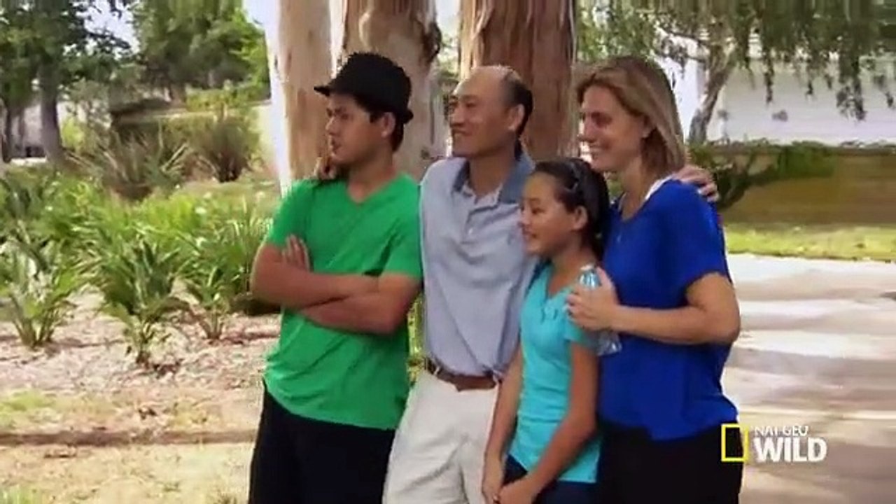 Cesar 911 - Se1 - Ep01 - Family Feud HD Watch HD Deutsch