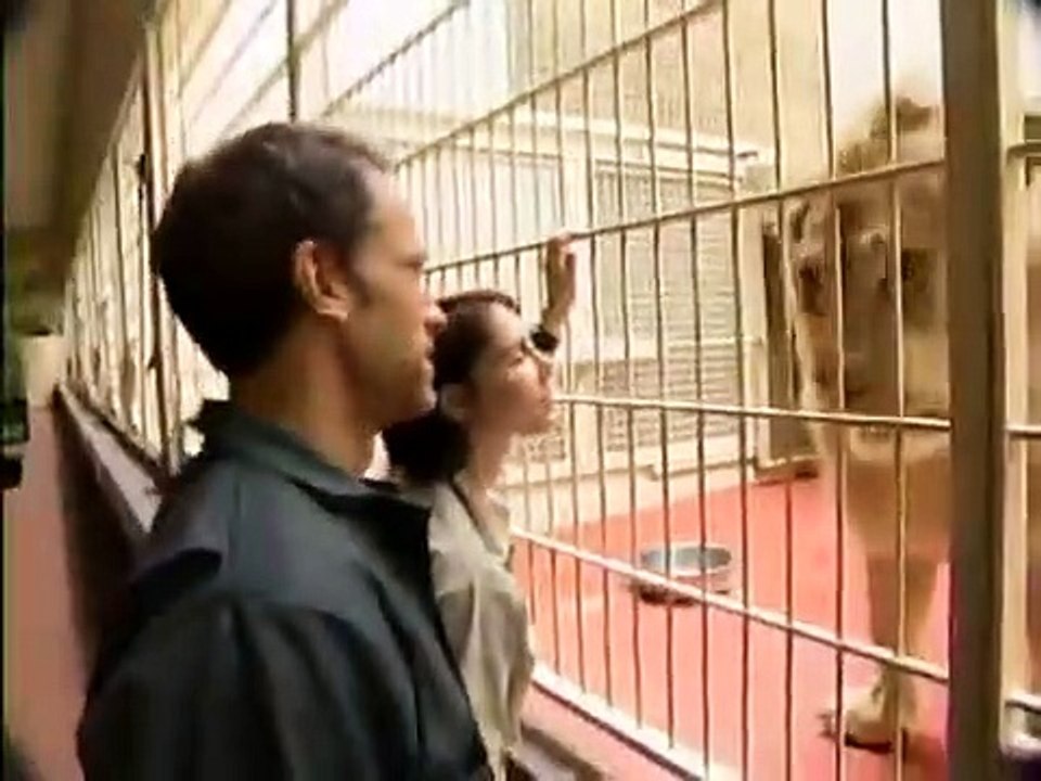 Dirty Jobs - Se2 - Ep03 HD Watch HD Deutsch