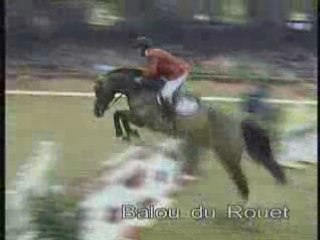 Fils de Baloubet :  Balou du Rouet