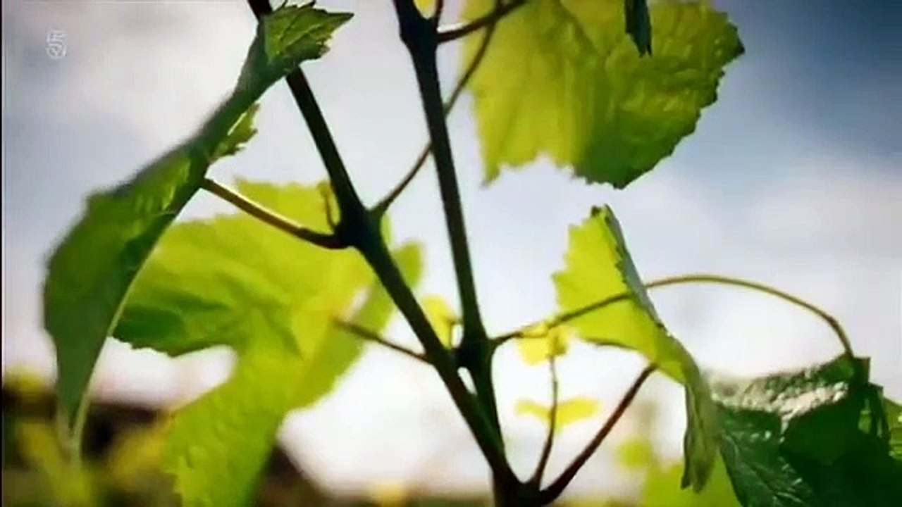 The Wine Show - Se2 - Ep01 HD Watch HD Deutsch