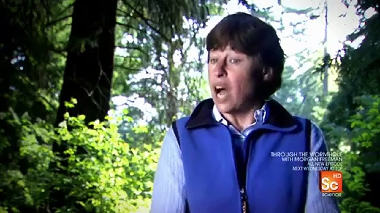 Through the Wormhole - Se1 - Ep06 HD Watch HD Deutsch