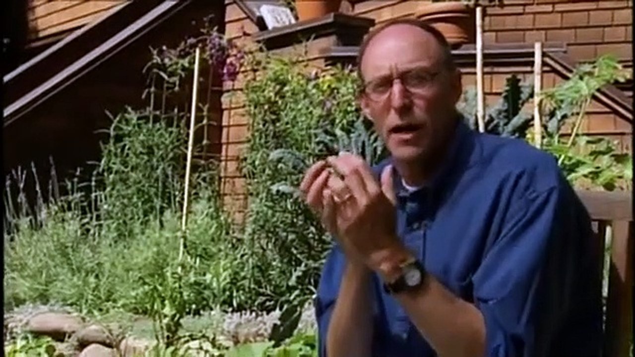 How Stuff Works - Se1 - Ep01 HD Watch HD Deutsch