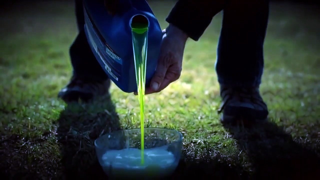 Trending Fear - Se1 - Ep01 - Evil Deliverance HD Watch HD Deutsch