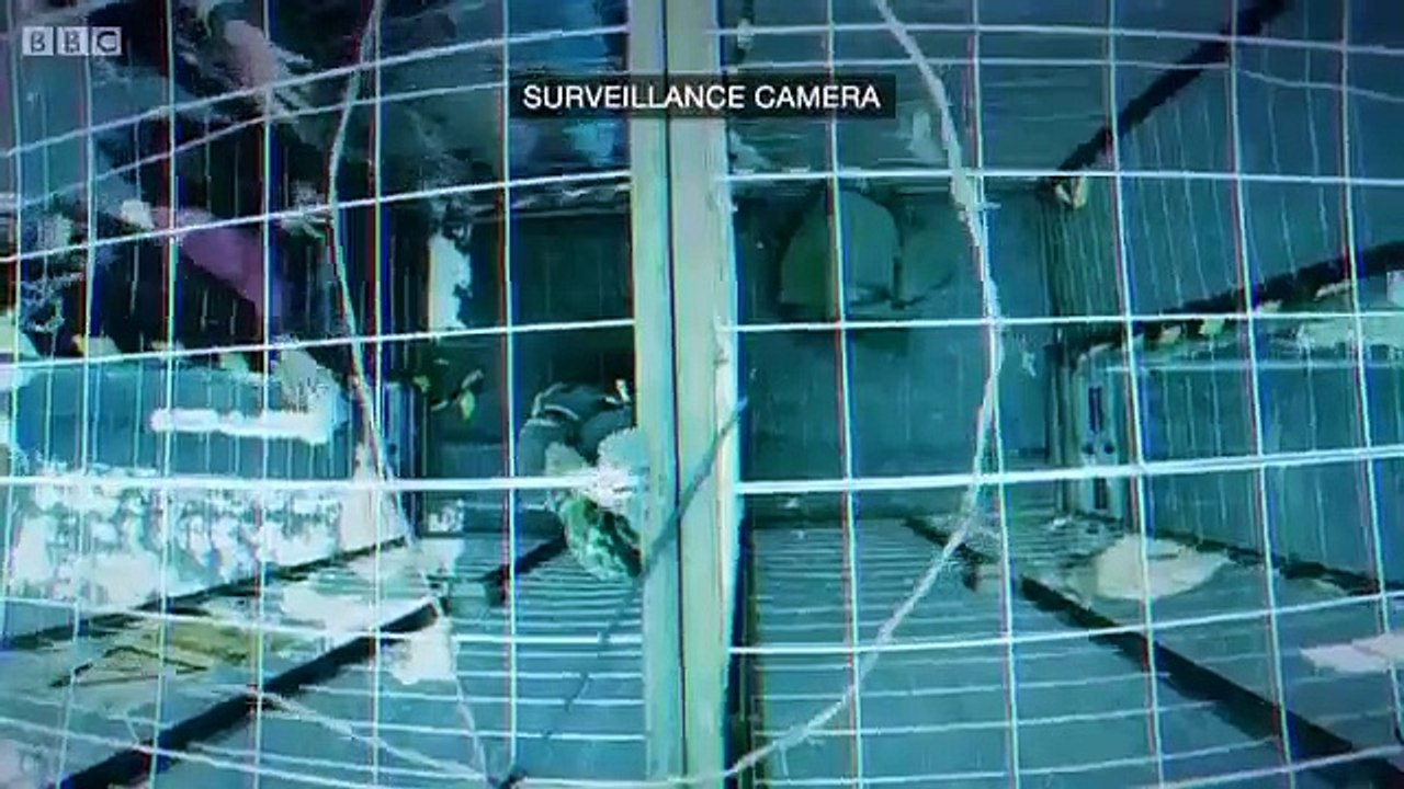 I Survived a Zombie Apocalypse - Se1 - Ep04 HD Watch HD Deutsch