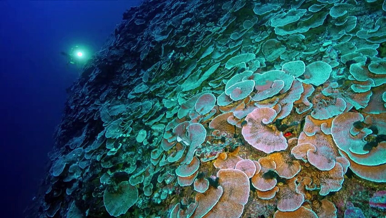 Under the Pole - Se1 - Ep05 HD Watch HD Deutsch