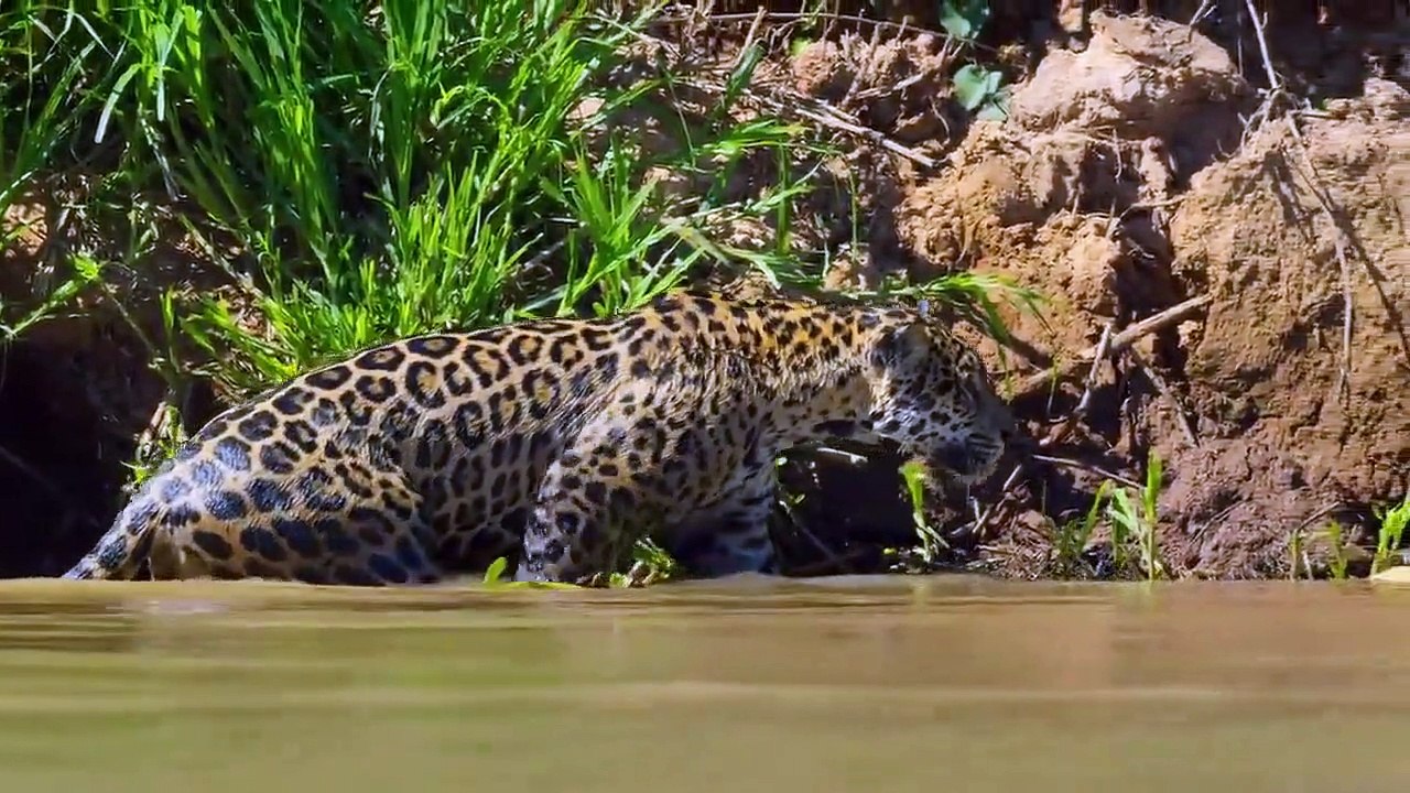 Our Planet - Se1 - Ep07 - Fresh Water HD Watch HD Deutsch