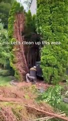 Lets clean up this area