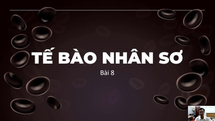 Sinh 10 - Bài 8 Tế bào nhân sơ