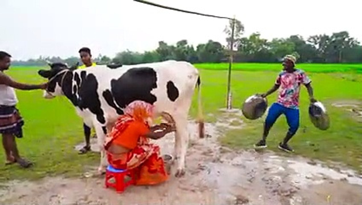 Top_New_Funniest_Comedy_Video__Most_Watch_Viral_Funny_Video_2022_Episode_90_funny videos