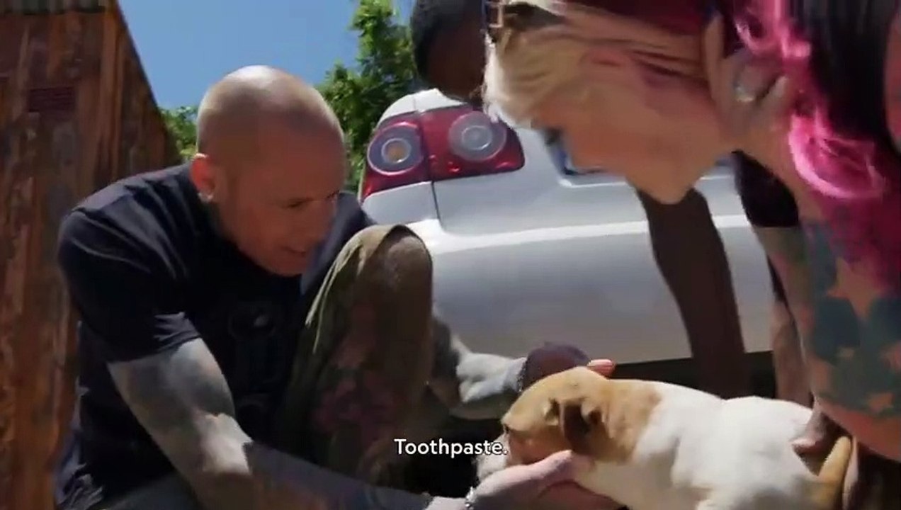 Snake City - Se5 - Ep01 - Storm of Snakes HD Watch HD Deutsch