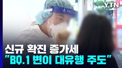코로나19 확진자 규모 증가..."다음 달 BQ.1 변이가 재유행 주도" / YTN