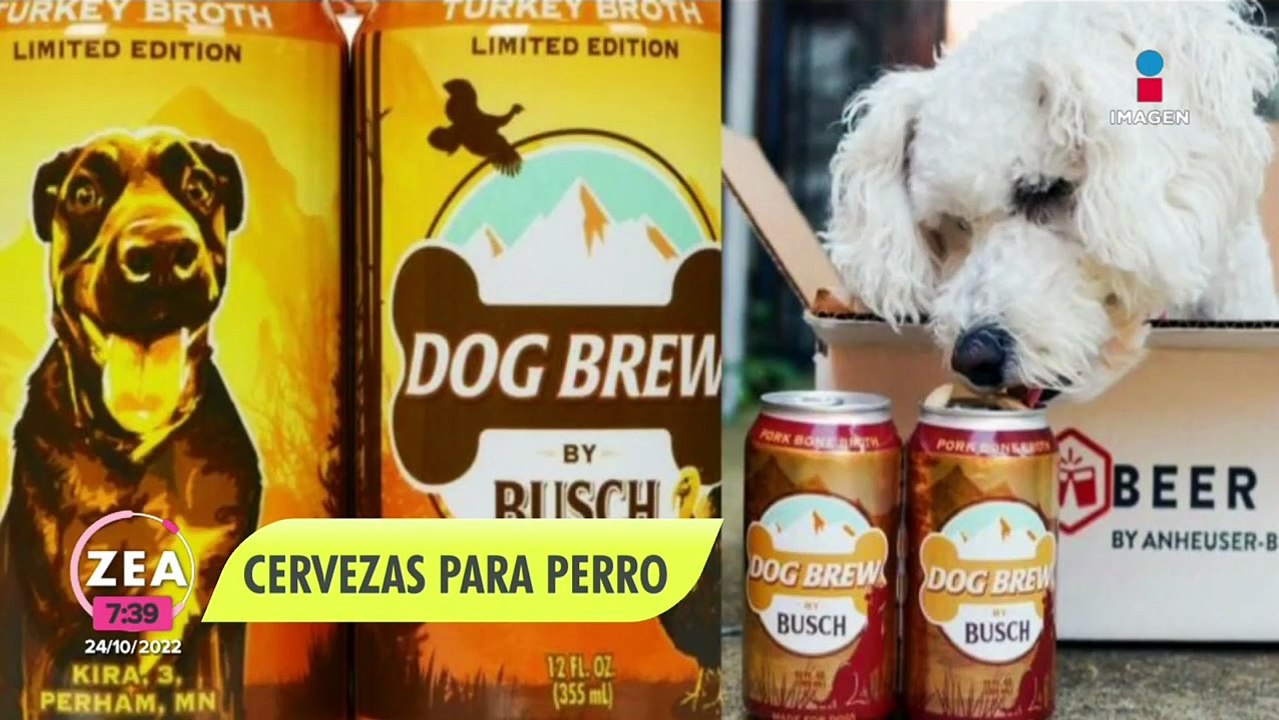Inventan las "cervezas" sin alcohol para perro