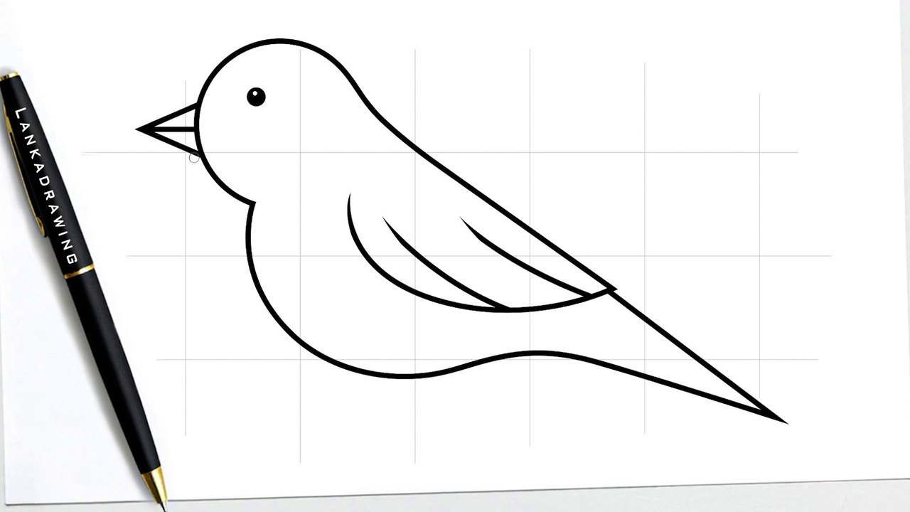 learn to draw a simple cute pigeon