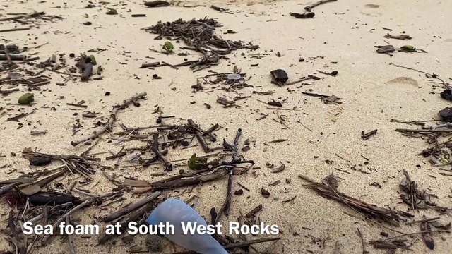 Sea foam South West Rocks | Macleay Argus, October 25