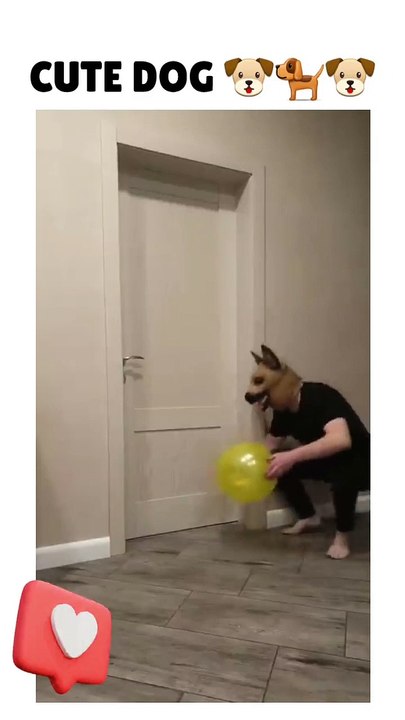 Cute Dog #shorts