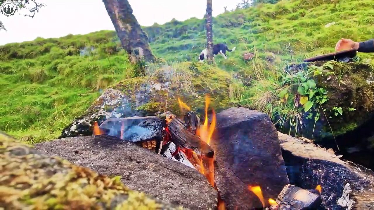 For Pasta FANS ONLY, Chicken yummy (4K Relaxing sounds, Nature) enjoy cooking