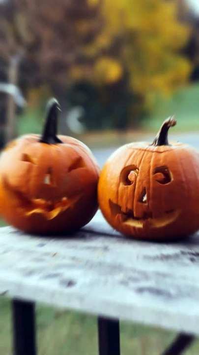 Why is Halloween Special? #shorts #scary #halloween2022