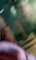 VIDEO : जैसलमेर कलक्टर IAS Tina Dabi के मुंह की तरफ भड़की चिंगारी, देखें पटाखा जलाते वक्त ऐसा क्या हुआ?