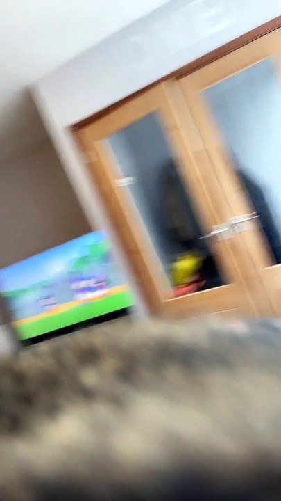 Climbing Kitty Gets Thwarted