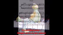 Corelli/Reinecke : Adagio en ré m (arr. piano)