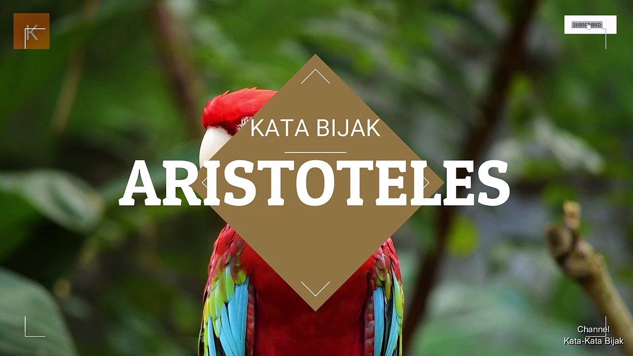 Kata Bijak Keren Dari Tokoh Aristoteles Bahasa Inggris Dan Artinya