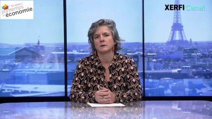 La sobriété réelle est un anti-productivisme [Mireille Bruyère]