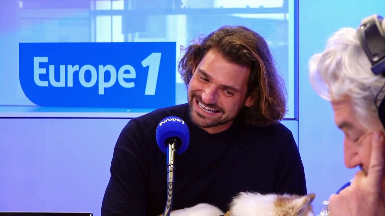 Une nouvelle émission inédite de dating entre chiens