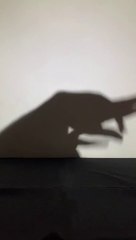 This shadow art was insane. 
