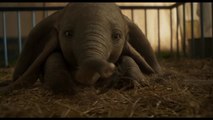 Dumbo 2019 Bande Annonce Disney