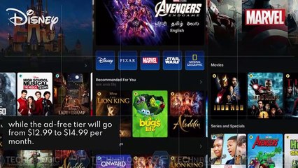 Disney Plus and Hulu have experienced major price rises