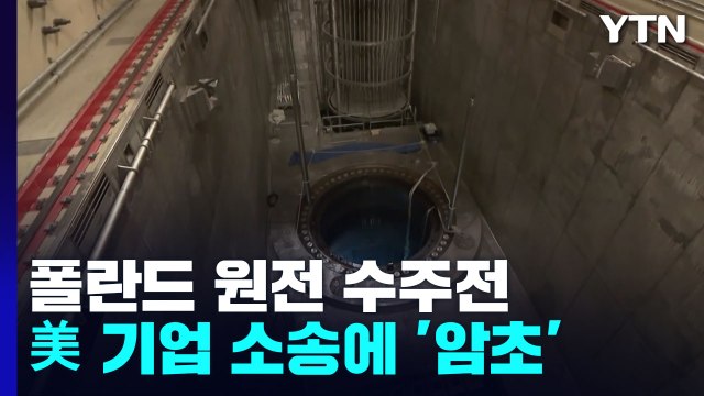 폴란드 원전 수주전 미국발 암초... 값싼 韓 원전 견제 / YTN
