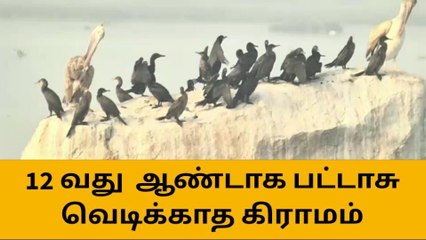 12வது ஆண்டாக தீபாவளிக்கு பட்டாசு வெடிக்காத அதிசய கிராமம்!