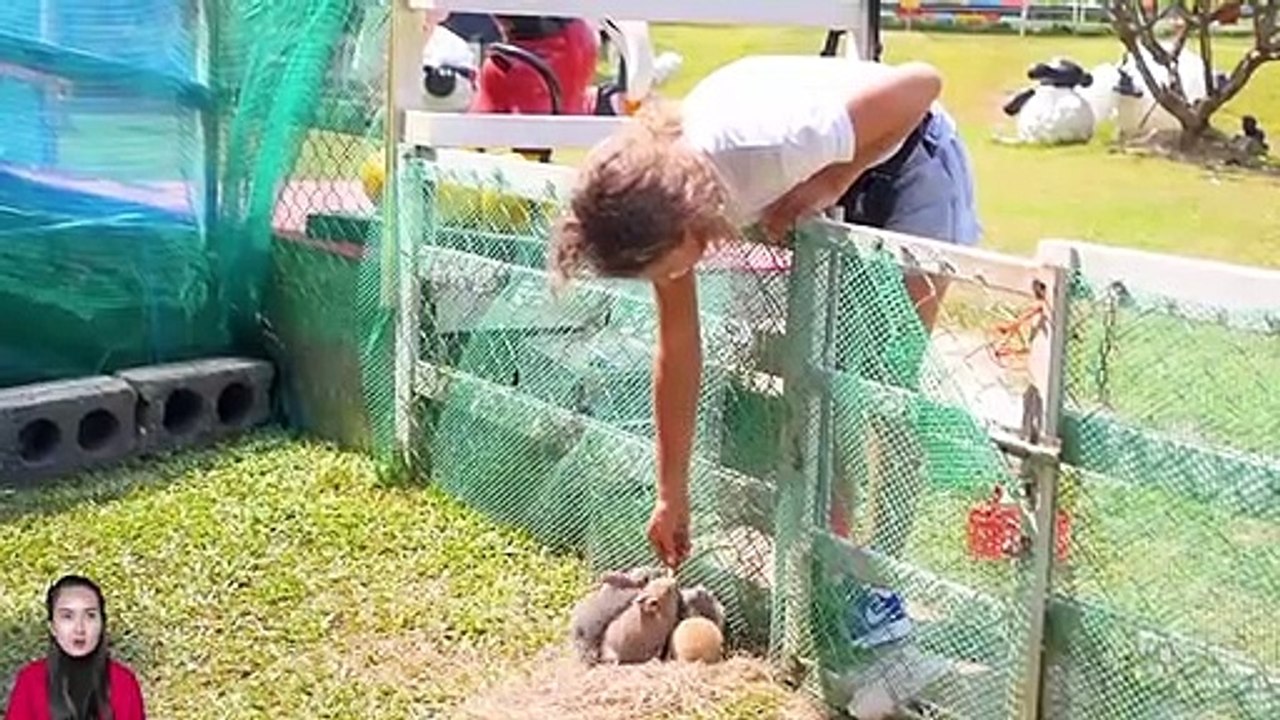 Learn the food of familiar animals: cat, horse, chicken, elephant, dog, goat