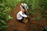 Gaziantep haber: Tarım ve Orman Bakanı Kirişci, Gaziantep'te Tarım Okulu'nu ziyaret etti Açıklaması