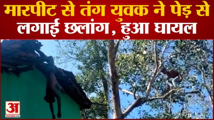 Jashpur: मारपीट से तंग युवक का पेड़ पर चढ़कर हाईवोल्टेज ड्रामा, पुलिस के सामने छप्पर पर कूदा, Video Viral