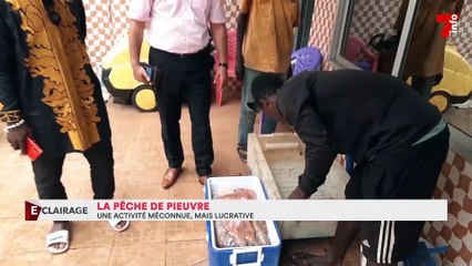 La pêche de pieuvre : une activité méconnue, mais lucrative