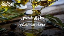 إنتاج زيت الزيتون وطرق فحصه والحكم على جودته