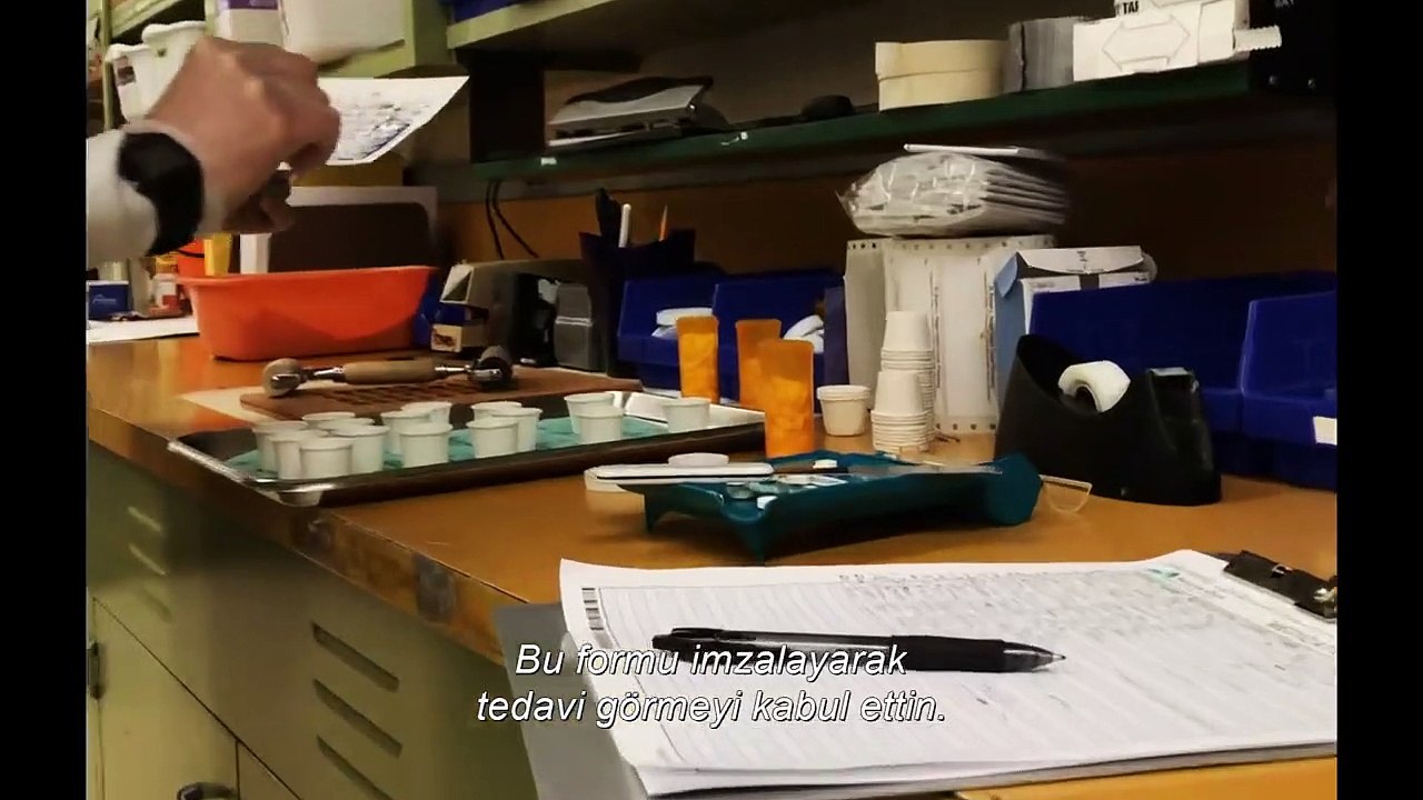 Swallow Bande-annonce (TR)