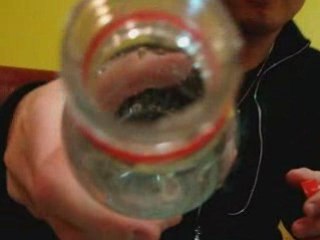 délir mika,kaku,just',me