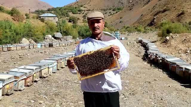 Vanlı kadın arıcı, kovan sayısını 4 yılda 40'tan 350'ye çıkardı (1)