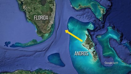 MISTERI MENGERIKAN, Korban Selamat Ungkapkan Teori Baru Terkait Misteri Segitiga Bermuda