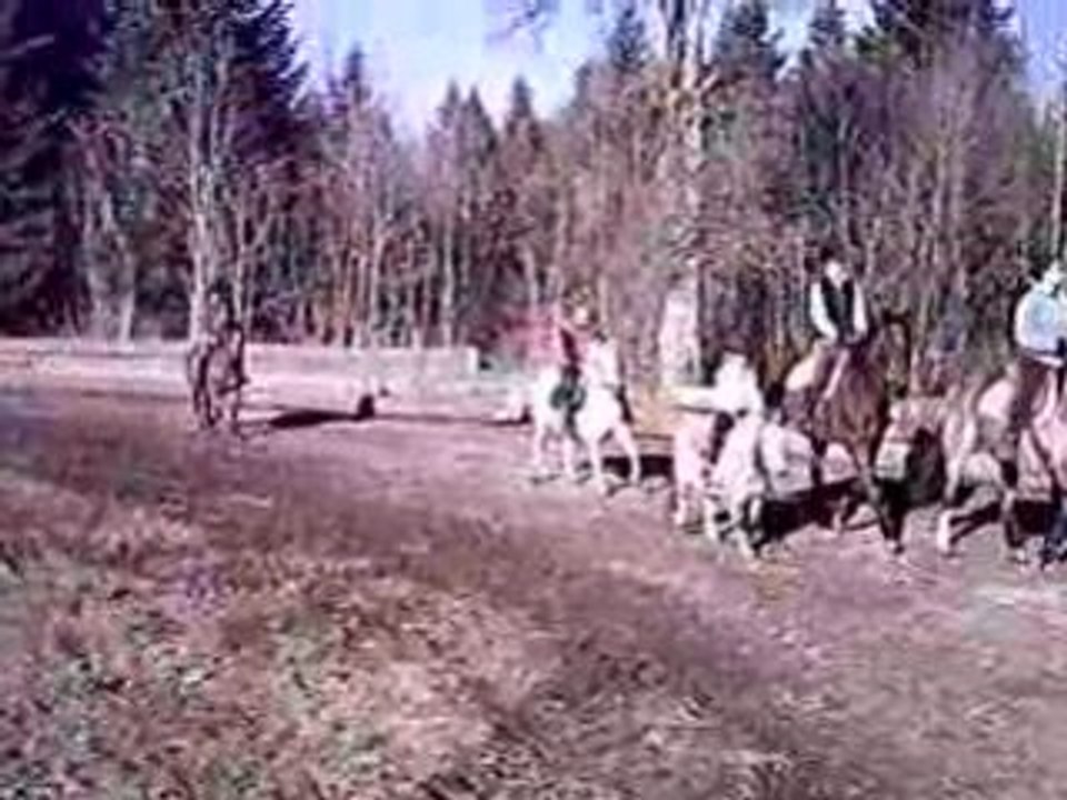 Pti galop ensemble