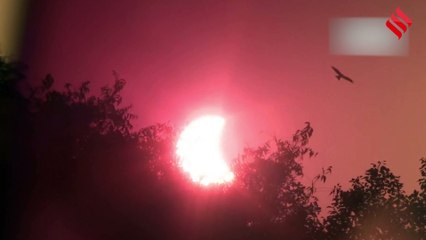 Surya Grahan 2022 Live : भारत में लग गया साल का आखिरी सूर्य ग्रहण, देखिए पहली तस्वीर