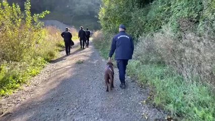 Kestane toplarken ormanda kaybolan kişi, 5 kilometre uzaklıkta yaralı bulundu