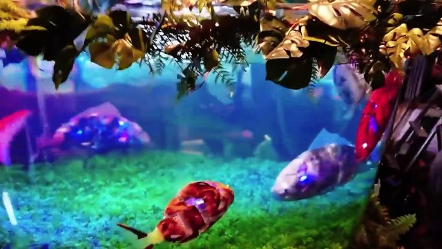 Staying at the World's First Robot Hotel! (Strangest Hotel of Japan)