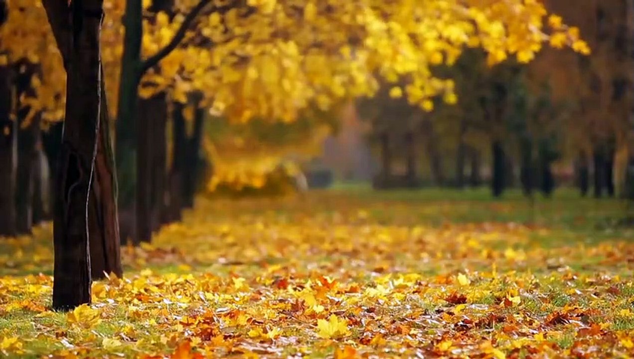 Beauty Of Nature _